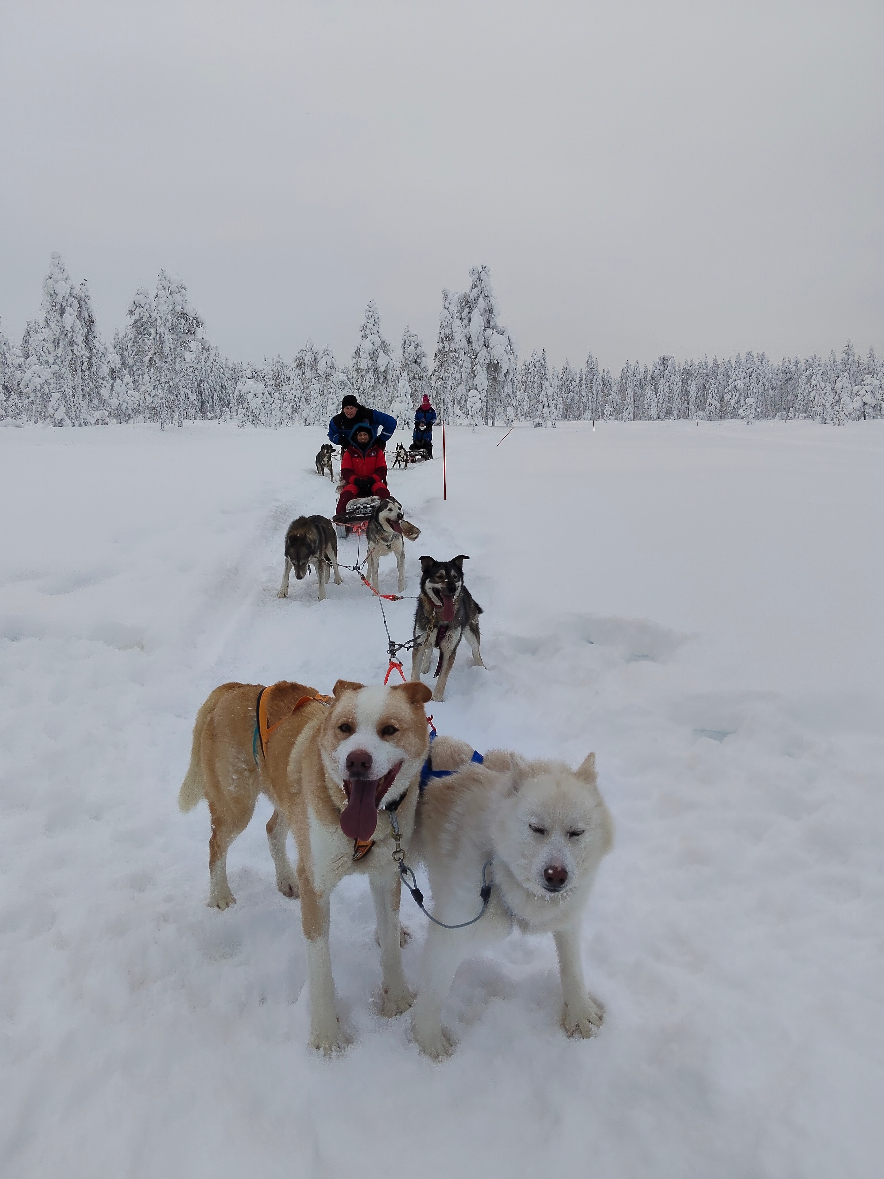 Finland
