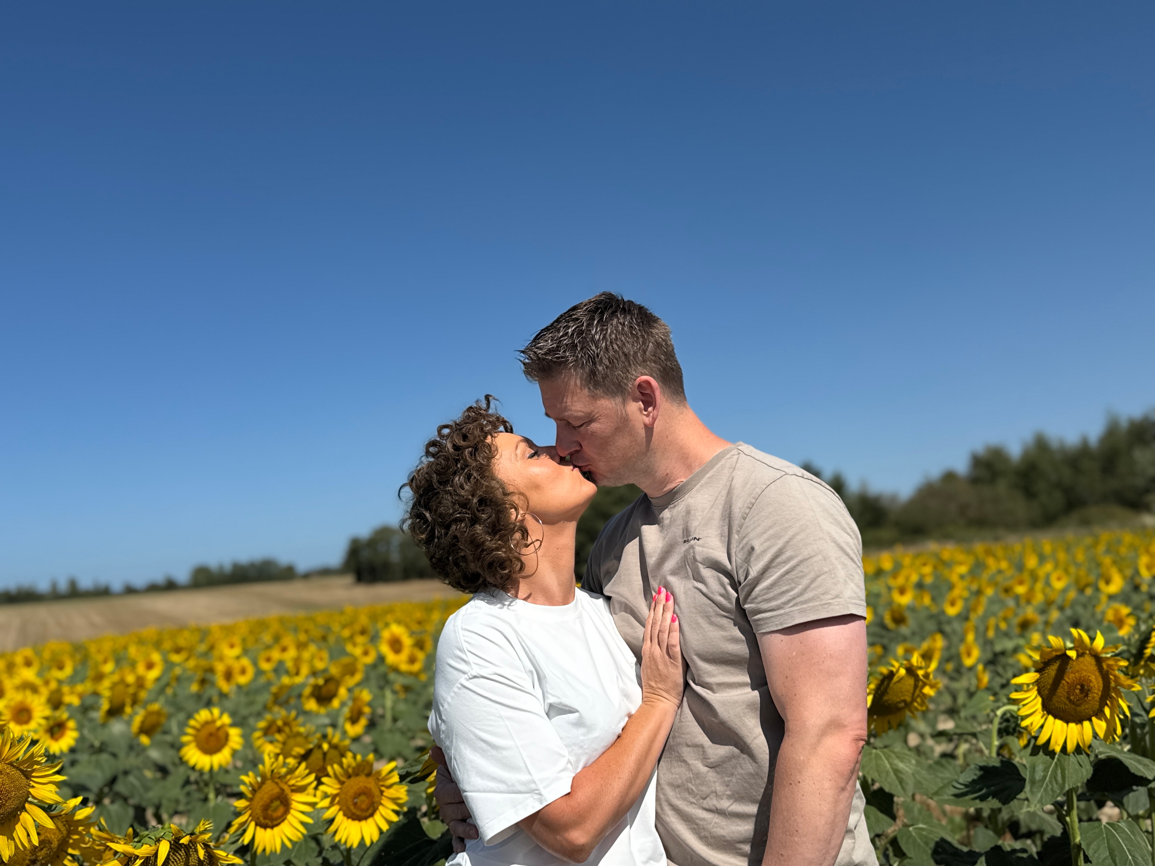 A kiss in the sunflowers