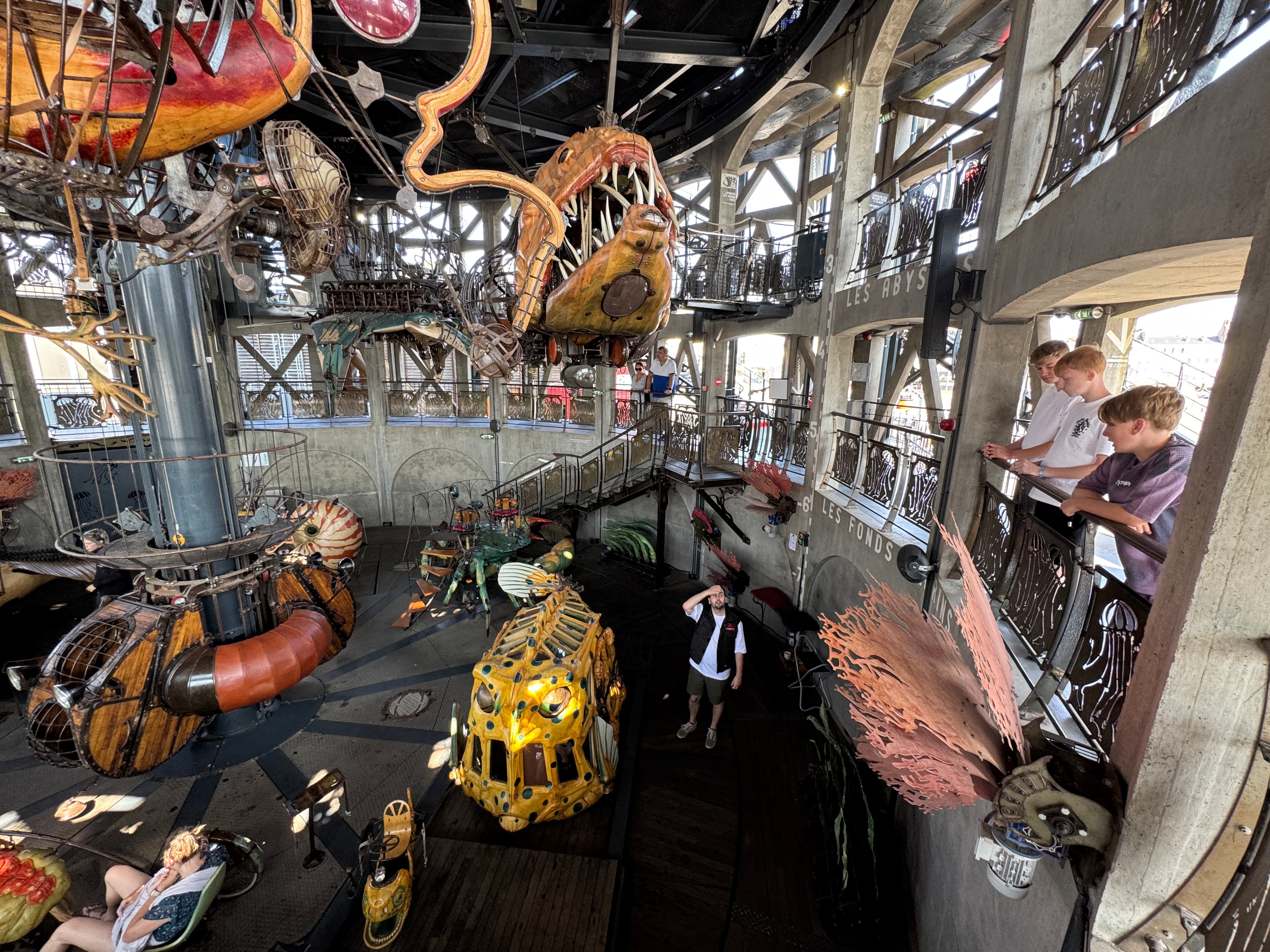 Les Machines de l'Île — the full gallery floor