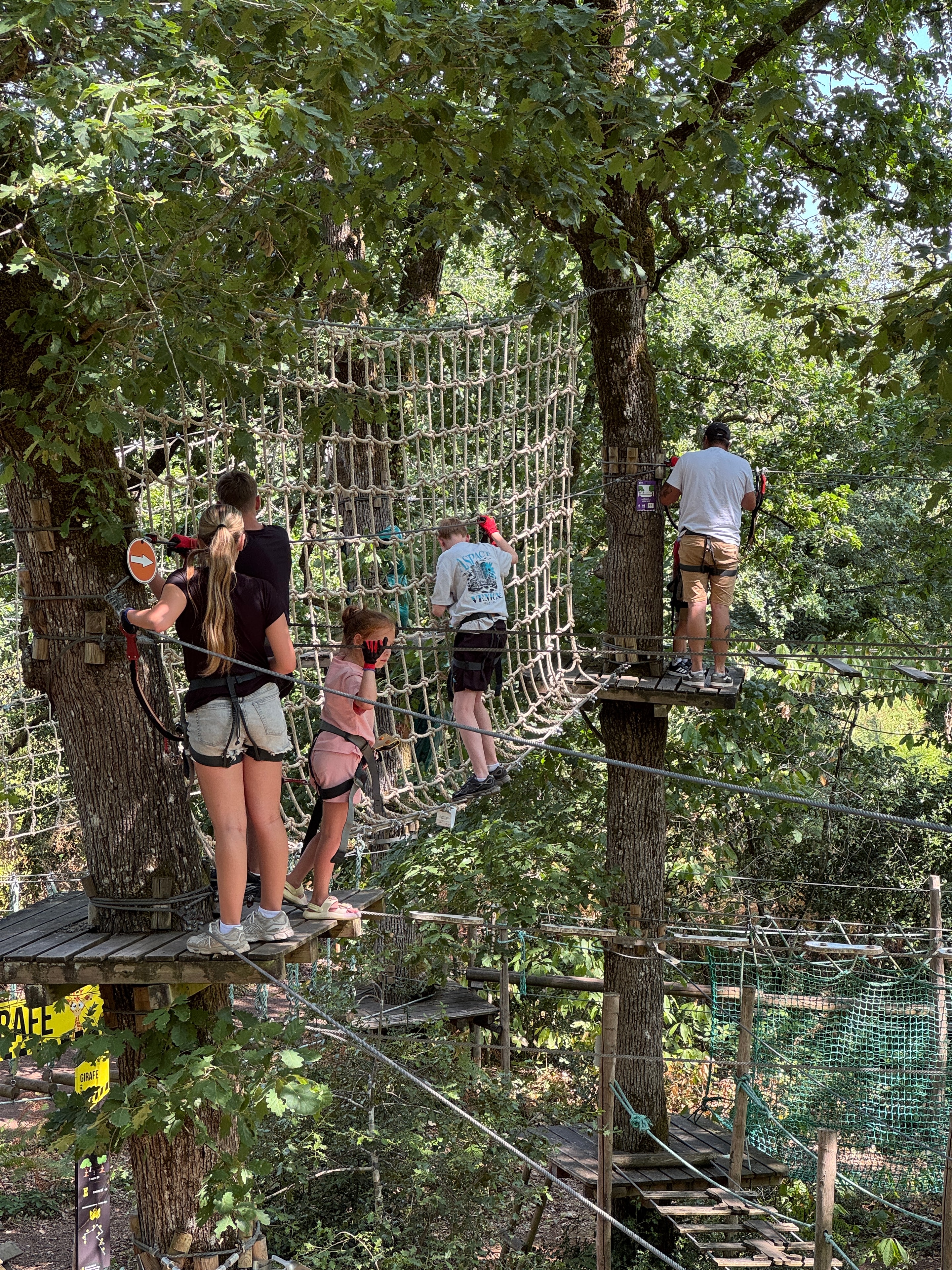 High ropes in the canopy